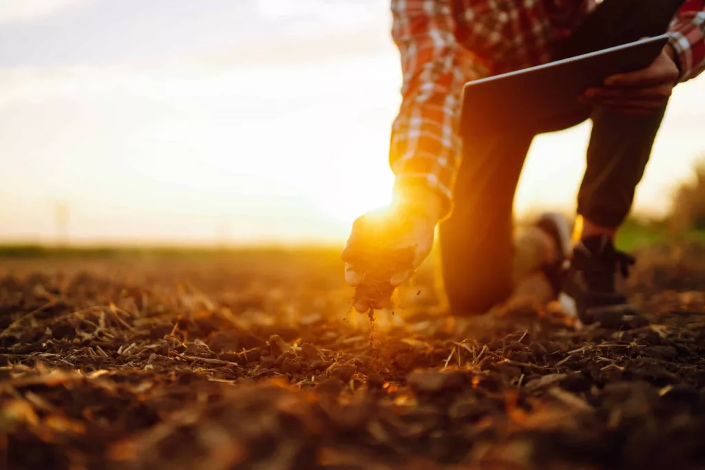 hand-of-expert-farmer-collect-soil-and-checking-soil-health-befo