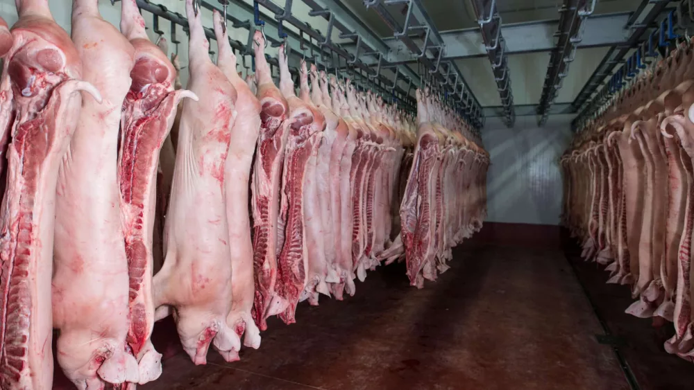 raw-meat-in-cold-storage-food-industry-distribution-center