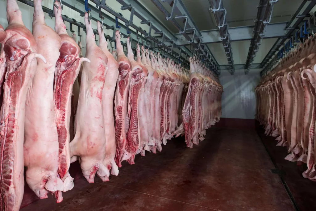 raw-meat-in-cold-storage-food-industry-distribution-center