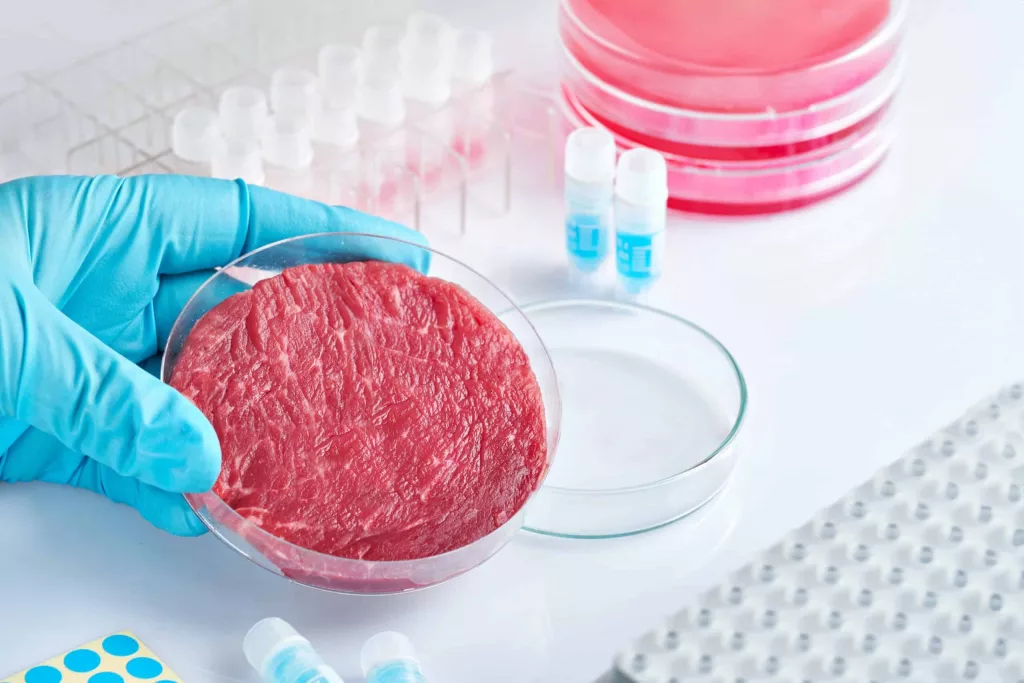 a-person-in-blue-gloves-holding-a-petri-dish-with-artificial-meat-vat-produced-meat