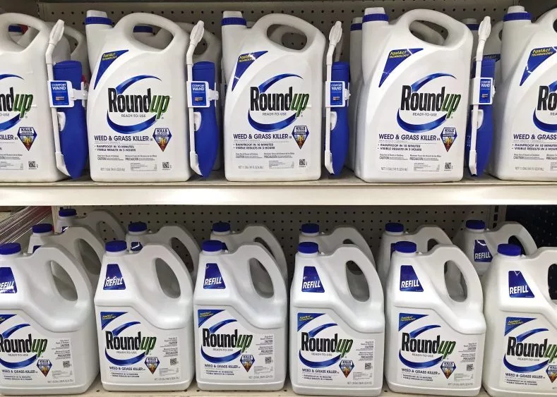 Plymouth^ WI – September 18^ 2018: Store shelf full of many bottles of Roundup ready to use weed and grass killer. Sprayer and refils.