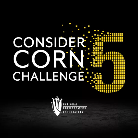 consider-corn-challenge-563x563735944-1