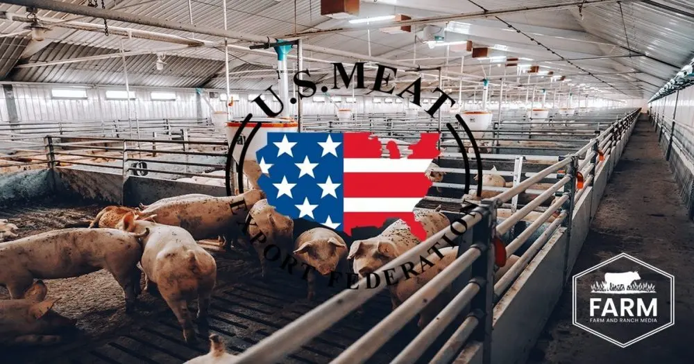 usmef-story-1000x52528715-1