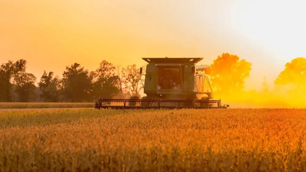 web-photo-template-onecms-1000-x-563-px-2025-10-31t135415-392857326