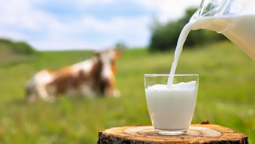 web-photo-template-onecms-1000-x-563-px-42885014