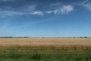 Wide view of a golden wheat field under a clear blue sky^ with a distant facility on the horizon.