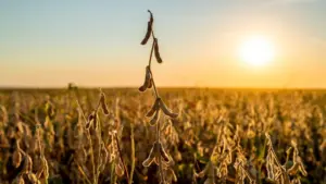 web-photo-template-onecms-1000-x-563-px-2025-11-06t134129-058384916