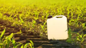 web-photo-template-onecms-1000-x-563-px-52182859