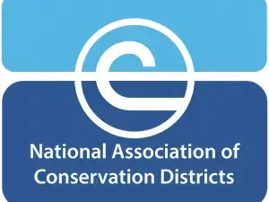 dyk-blog-feature-photo-jpg63349