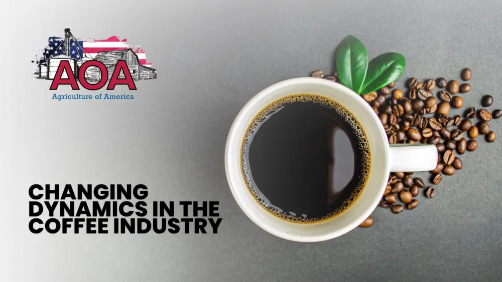 aoa-youtube-thumbnail