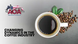 aoa-youtube-thumbnail