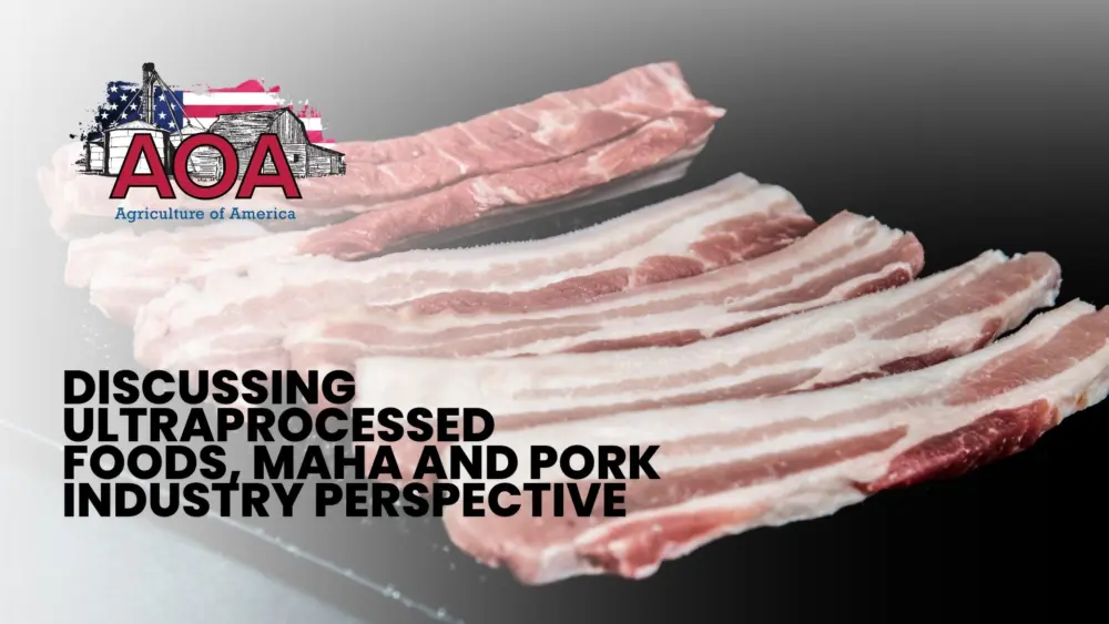 aoa-youtube-thumbnail-6