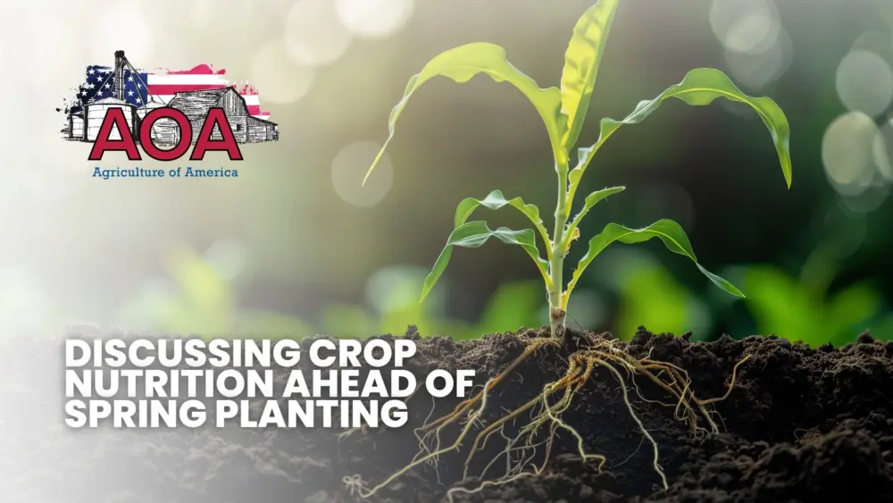 roland-aoa-youtube-thumbnail