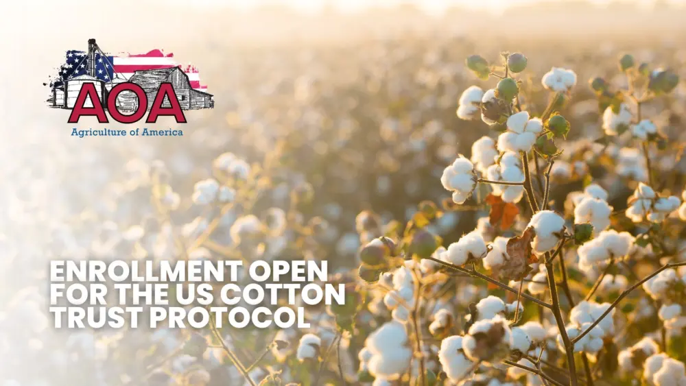 cotton-trust-aoa-youtube-thumbnail