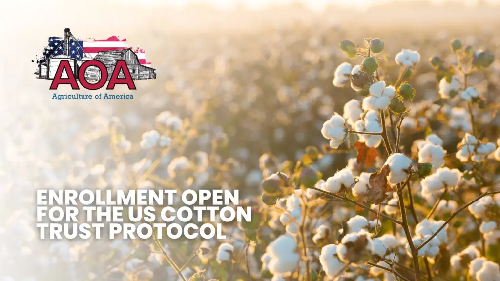 cotton-trust-aoa-youtube-thumbnail