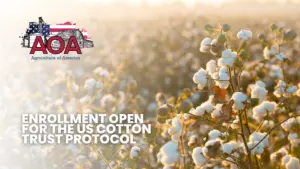 cotton-trust-aoa-youtube-thumbnail