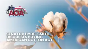 cotton-aoa-youtube-thumbnail