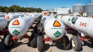 web-photo-template-onecms-1000-x-563-px-2026-03-20t155553-808247082