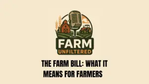 supreme-court-ieepa-ruling-2-1000x56349944-1