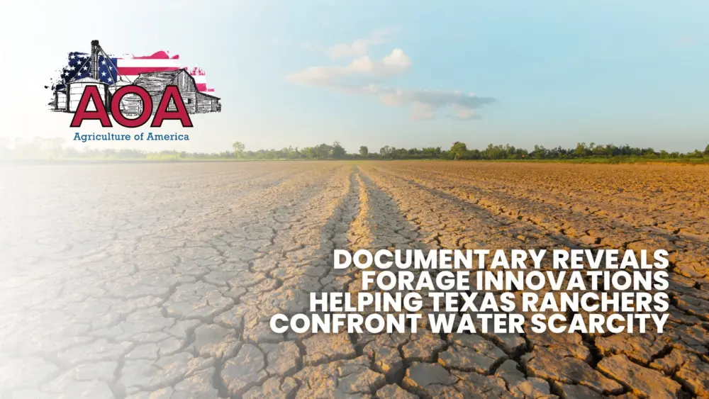 from-dust-aoa-youtube-thumbnail