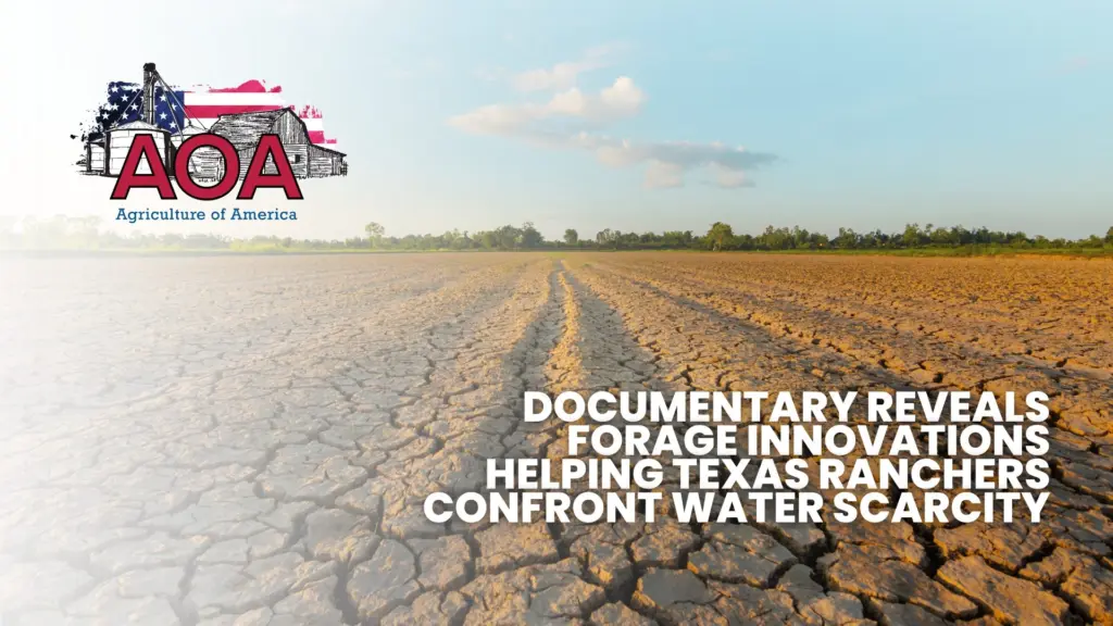 from-dust-aoa-youtube-thumbnail