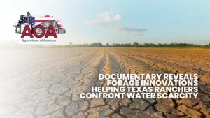 from-dust-aoa-youtube-thumbnail