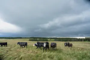 unnamed-7-844x56369339-1