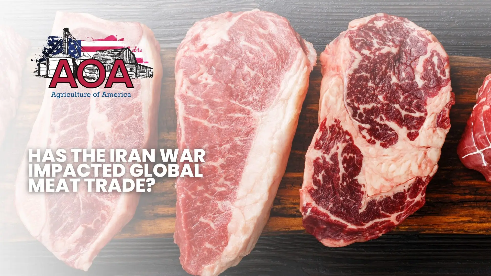 pmi-foods-aoa-youtube-thumbnail