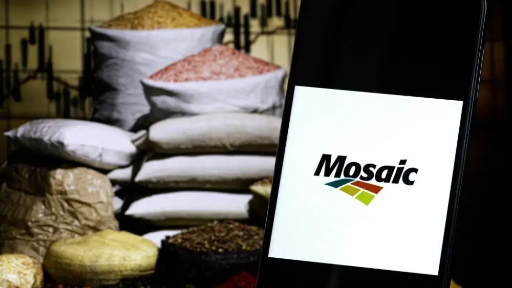 web-photo-template-onecms-1000-x-563-px-11590820