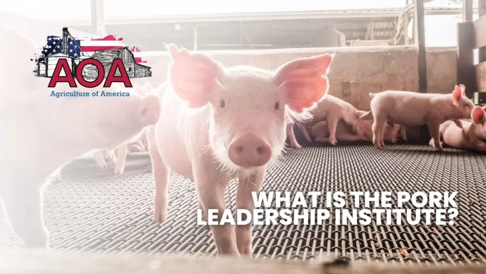 nppc-aoa-youtube-thumbnail