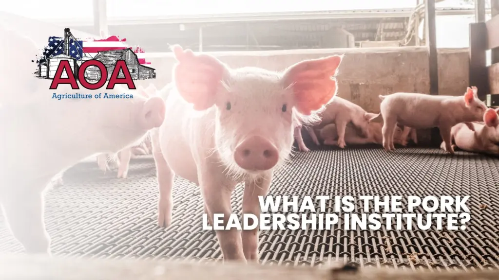 nppc-aoa-youtube-thumbnail