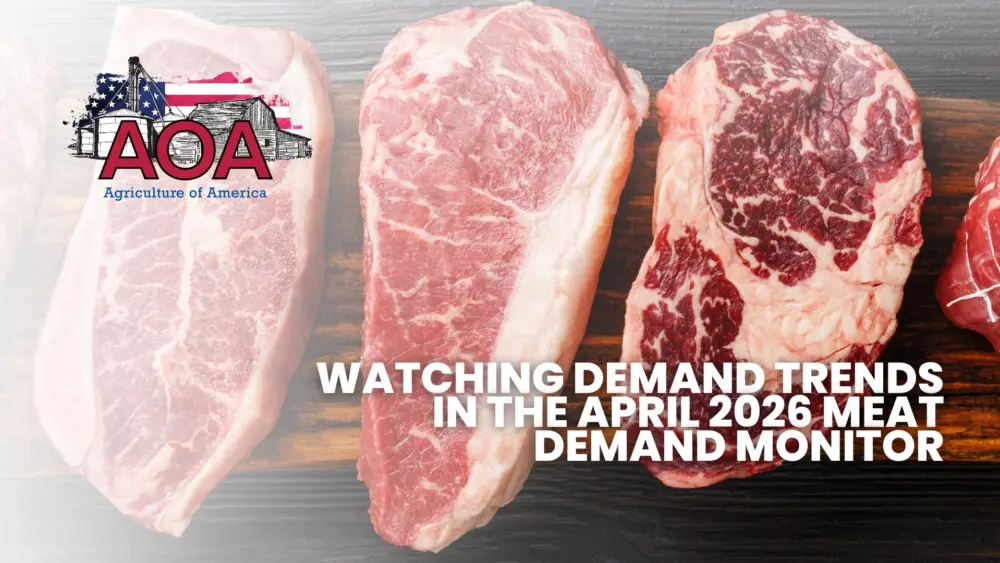 mdm-aoa-youtube-thumbnail-1