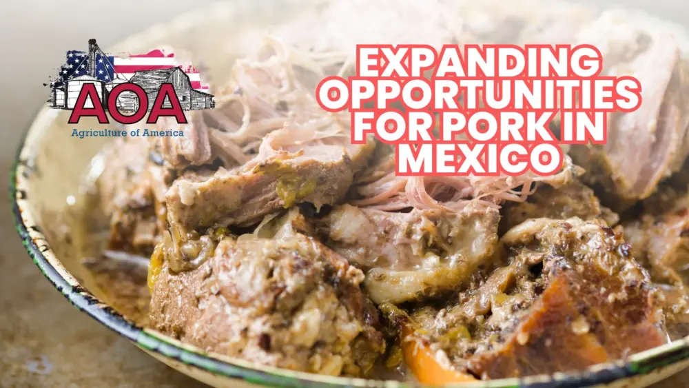 pork-mexico-aoa-youtube-thumbnail
