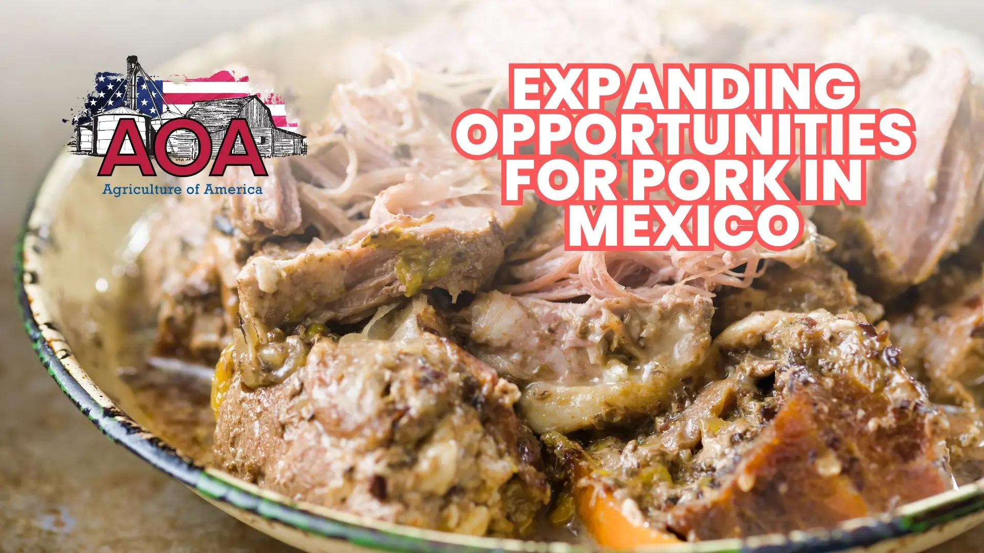 pork-mexico-aoa-youtube-thumbnail