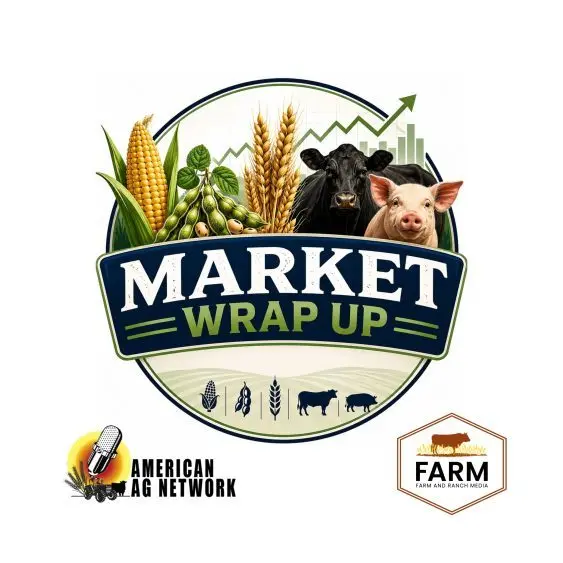 Usda Report Markets Regroup After USDA Surprise as Weather Keeps Pressure on Grain ...