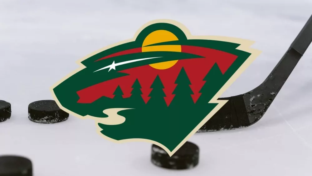 wild hockey