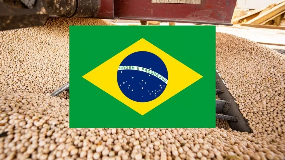 brazil soy