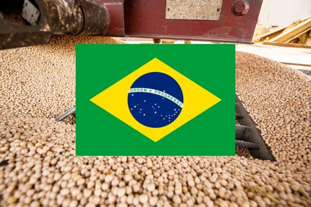 brazil soy