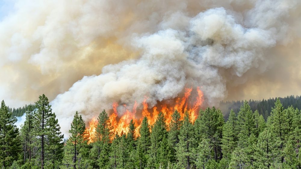 Senate Passes Bill To Provide Utilities Protection During Wildfires