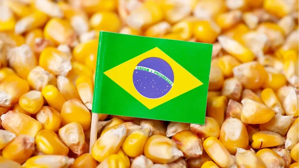 brazil