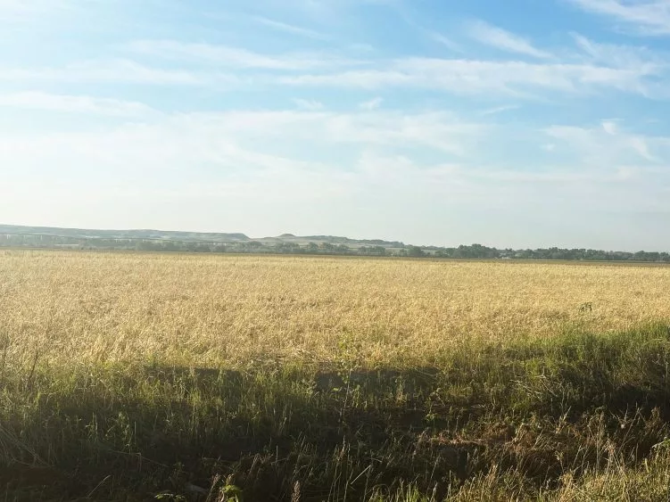 land