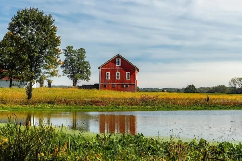 farm