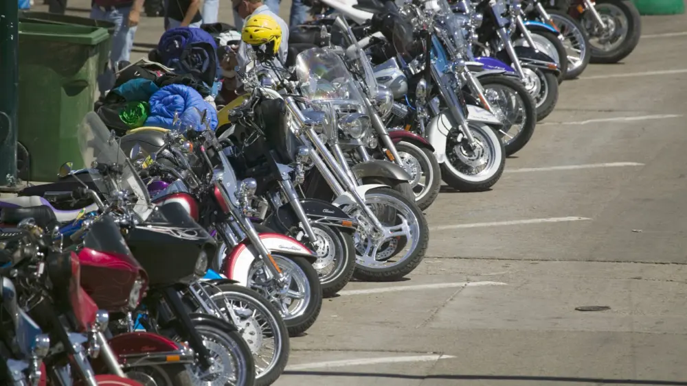 Sturgis
