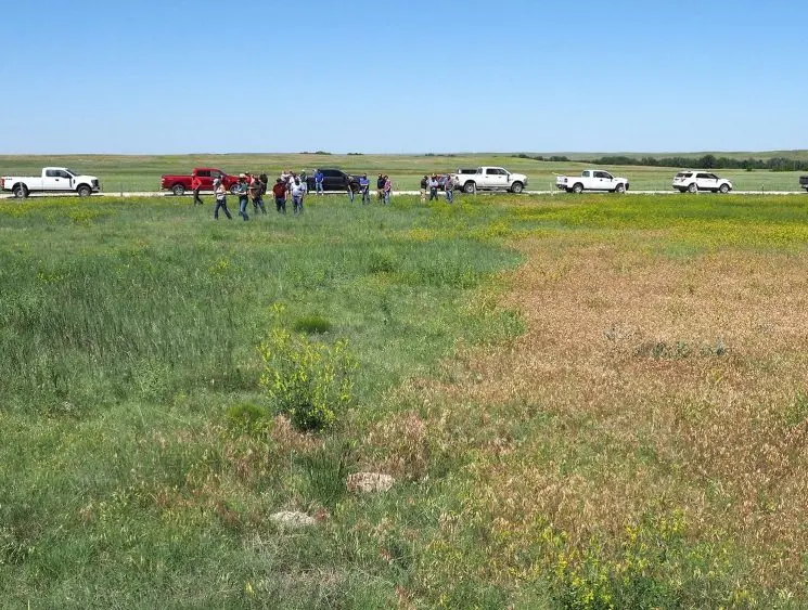 gstone-envu-rejuvra-cheatgrass-0625a-745x563138295-1