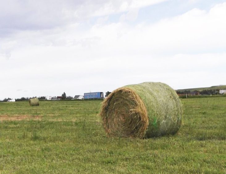 South Dakota Farmers Sending Hay Donations To Nebraska
