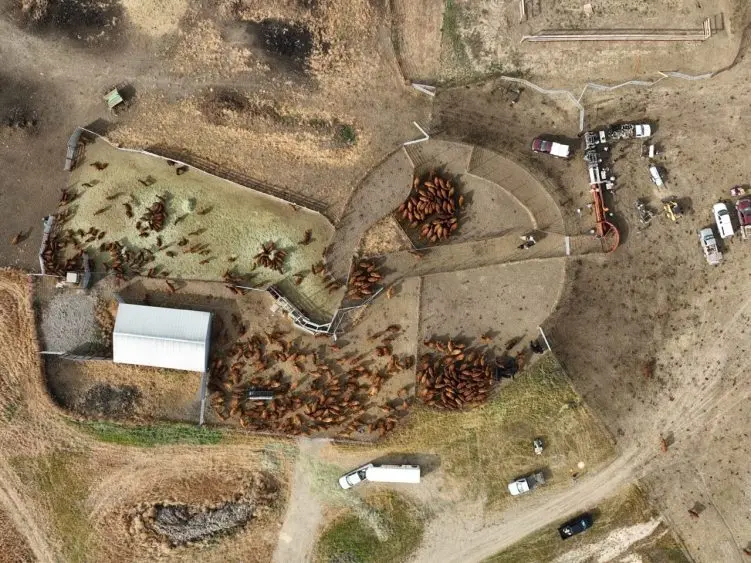 vesethgift_drone-751x563957047-1