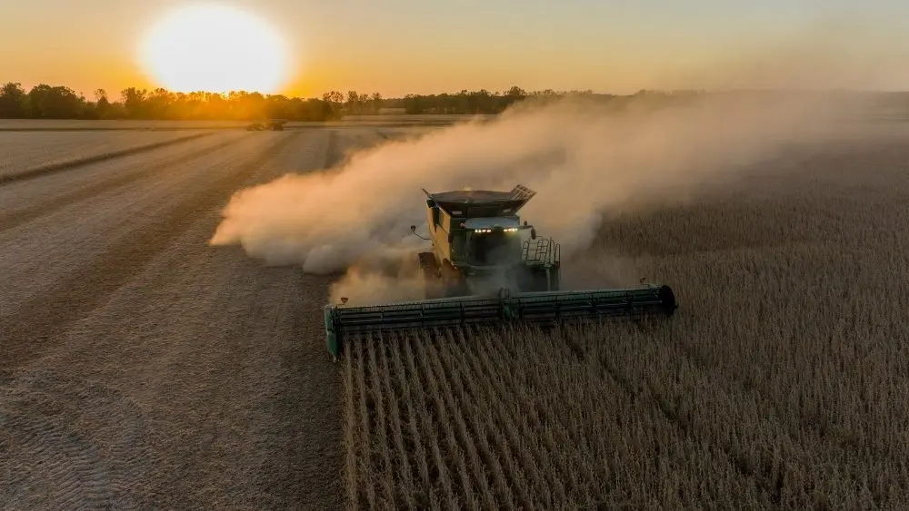 web-photo-template-onecms-1000-x-563-px-2025-10-31t112819-566143782