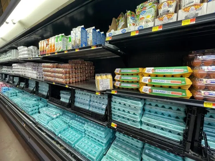 adobestock_576877542_editorial_use_only-751x563689217-1