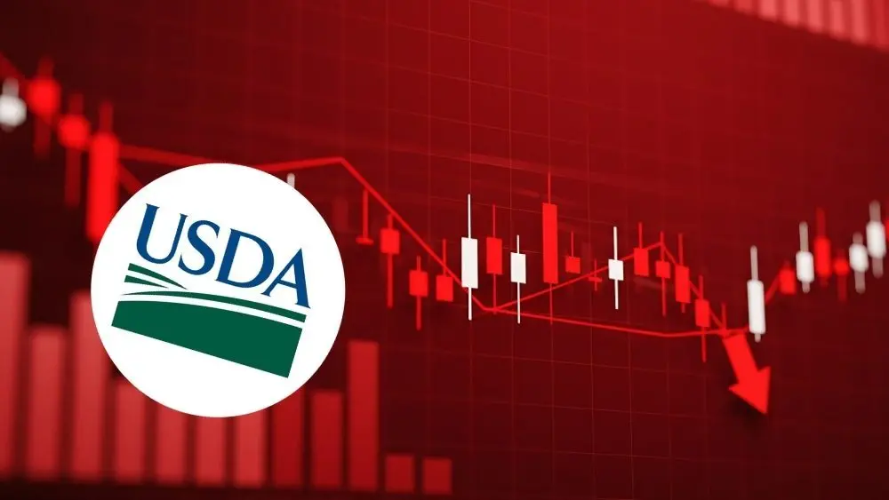 web-photo-template-onecms-1000-x-563-px-2025-11-14t143922-281796424