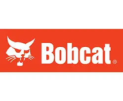 bobcat